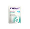 Kapsička KATTOVIT Feline Diet Gastro s lososem a rýží 85g
