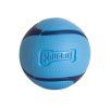 Míček CHUCKIT! Sniff Fetch Ball Bacon (M) 6,5cm