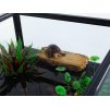 Rampa pro želvy a stromové krmítko REPTIZOO 2v1 TB09 19x9x9cm