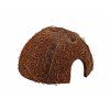 Úkryt REPTI PLANET Coco Shell (M)