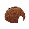 Úkryt REPTI PLANET Coco Shell (L) (DOPRODEJ)