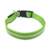 Svítící obojek BENTECH DC1200 (L) zelený
