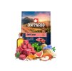 ONTARIO Adult Large Lamb & Brown Rice 2,25kg
