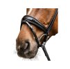 Uzdečka WALDHAUSEN S-Line Magic se švédským nánosníkem black COB