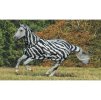 Deka proti hmyzu BUCAS Buzz-Off & Neck Zebra 145cm
