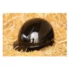 Bezpečnostní helma HARRY'S HORSE Royal Glossy černá (L)