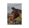 Maska proti hmyzu HARRY'S HORSE Flyshield COB