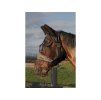 Maska proti hmyzu HARRY'S HORSE Flyshield s nosem SHETTY