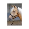Kožená ohlávka HARRY'S HORSE černá se zlatým lemem PONY