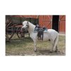 Westernová podsedlová deka WESTRIDE Quilted Navajo tyrkysová/černá/bílá SHETTY