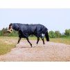 Výběhová deka EQUITHEME Classic s krkem 1200D 100g tmavě modrá 150cm