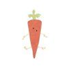 Hračka pro koně BR Carrot 32cm (DOPRODEJ)