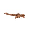 Kořen TOMMI Coral Driftwood (M) 30-50cm