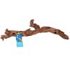 Kořen TOMMI Coral Driftwood (XL) 70-90cm