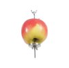 Držák na ovoce ZOLUX do klecí pro ptáky kovový (M) 15,5cm