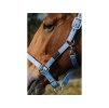 Ohlávka EQUITHEME Spring blue FULL