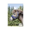 Ohlávka HKM Heart blue PONY