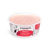 Vánoční YOGUPET jogurt pro psy a kočky 2x110g (2ks)