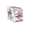 Kapsička ROYAL CANIN Sterilised 12x85g (v omáčce) (multipack)
