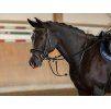 Martingal COVALLIERO černý PONY (DOPRODEJ)