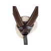Poprsník HKM pětibodový brown FULL