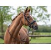 Uzdečka HKM Fleur se švédským nánosníkem black PONY
