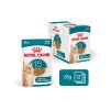 Kapsička ROYAL CANIN Cat Ageing 15+ 12x85g (v omáčce) (multipack)