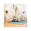 LICKIMAT Buddy TUFF lízací podložka zelená 20x20cm