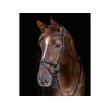 Uzdečka WALDHAUSEN X-Line Work s anglickým nánosníkem black PONY