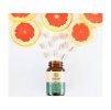 GREEN IDEA Grapefruit jádra 60tbl