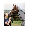 Deka proti hmyzu HORSEWARE Rambo Protector Plus s krkem silver/navy, white & beige 155cm