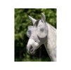 Maska proti hmyzu HORSEWARE Defense silver/silver FULL