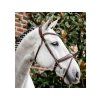 Uzdečka HORSEWARE Flash se švédským nánosníkem brown XFULL