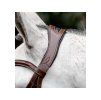 Uzdečka HORSEWARE Flash se švédským nánosníkem brown XFULL