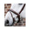 Uzdečka HORSEWARE Flash se švédským nánosníkem brown XFULL