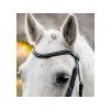Uzdečka HORSEWARE Flash Pony se švédským nánosníkem black MINISHETTY