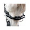 Uzdečka HORSEWARE Flash Pony se švédským nánosníkem black MINISHETTY