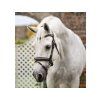 Uzdečka HORSEWARE Flash Pony se švédským nánosníkem brown PONY