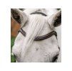 Uzdečka HORSEWARE Flash Pony se švédským nánosníkem brown MINISHETTY