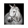 Uzdečka HORSEWARE Micklem Diamante Competition 3 black COB/FULL