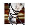 Uzdečka HORSEWARE Micklem Multi Bridle 3 black COB