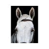 Uzdečka HORSEWARE Micklem Multi Bridle 3 dark havana XFULL