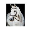 Uzdečka HORSEWARE Micklem Multi Bridle 3 dark havana XFULL