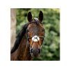 Uzdečka HORSEWARE Figure 8 s mexickým nánosníkem black COB