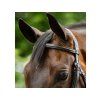 Uzdečka HORSEWARE Figure 8 s mexickým nánosníkem brown FULL