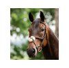 Uzdečka HORSEWARE Figure 8 s mexickým nánosníkem brown FULL