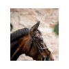 Uzdečka HORSEWARE Figure 8 s mexickým nánosníkem brown COB