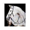 Uzdečka HORSEWARE Micklem Multi Bridle 2 black PONY