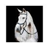 Uzdečka HORSEWARE Micklem Multi Bridle 3 black PONY