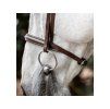 Uzdečka HORSEWARE Cavesson s anglickým nánosníkem brown XFULL